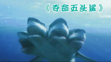 四分钟看完电影《夺命五头鲨》，吃掉无数人类，竟然长出5个头