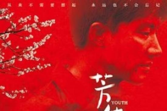 剧情电影《芳华》解说文案