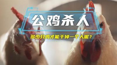 你知道多少只鸡才能战胜一个人吗？