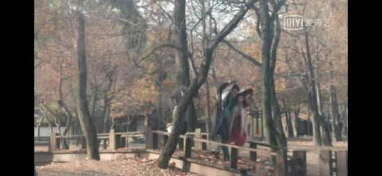 《情深缘起》_第5集_分集剧情