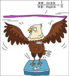 为什么人类没有驯服飞行生物当坐骑？