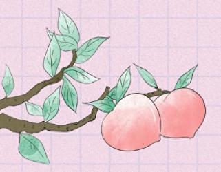 为什么有的女生胸软、有的女生胸硬？