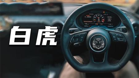 他不怕一贱到底，但是想稍微体面一点——印度剧情片《白虎》