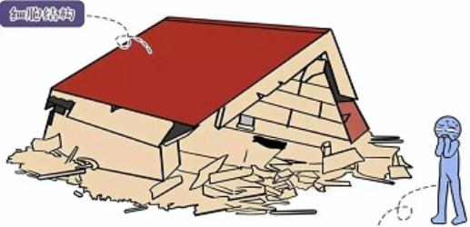 有哪些你以为的健康食品，其实没那么健康？(图)