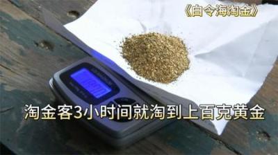 淘金客只花费3小时，就淘到上百克黄金，这属实让人羡慕不已