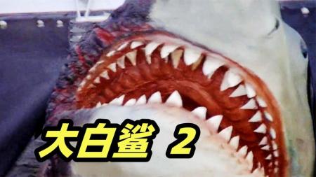 《大白鲨》人类杀死一头鲨鱼，却引来另一头鲨鱼疯狂报复！恐怖片《大白鲨》