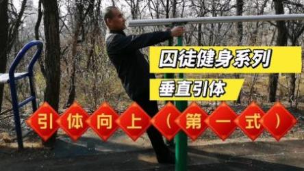 【囚徒健身】视频和系列全书[ali]