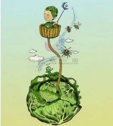 这些植物的「生存智慧」，令人惊叹！