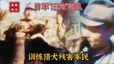 1942年日军“恶狗”部队影像，训练猎犬残害中国军民，无耻至极