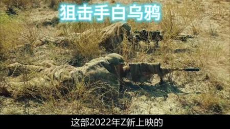 【电影】战争电影《狙击手·白乌鸦》解说文案片源素材
