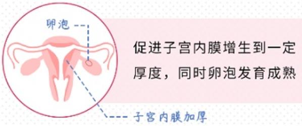 姨妈老是不准时，是身体出啥问题了吗？