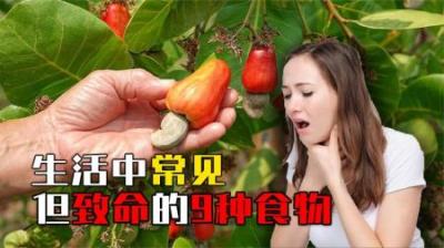 揭秘生活中常见但能致命的食物：荔枝、苹果也能危及生命？