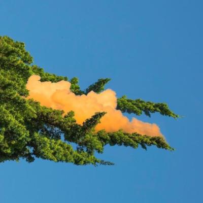 【经典】带娃在家说说（每天在家带娃的说说）