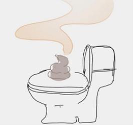 拉屎玩手机，危害居然这么大？(图)