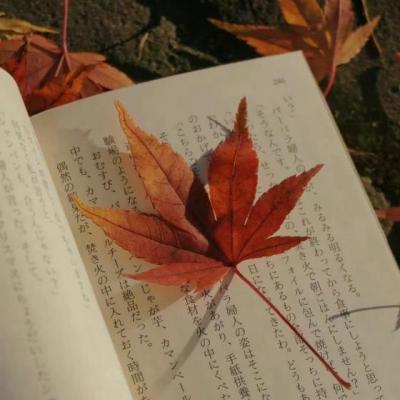 【正能量】早安短句正能量句子心语（早安心语正能量简短语句）