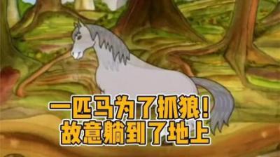经典动画《丑小鸭》#动画解说 #丑小鸭 #怀旧动画 #老动画