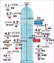 丁丁冷知识：丁丁真的越长越好用吗？