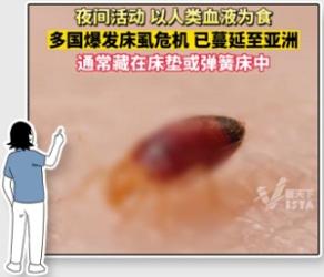 在床上看到这种虫子，不要犹豫，立刻弄死！