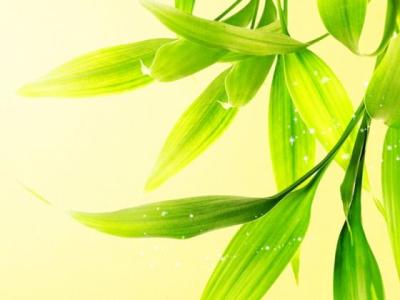 【经典】车子个性说说（关于喜欢车的说说朋友圈）