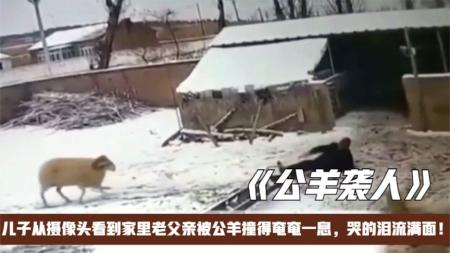【电影】《公羊》解说文案【北影节】《公羊》：极致简约，并不简单