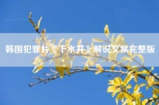 韩国犯罪片《下水井》解说文案完整版