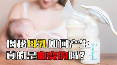 揭秘母乳如何产生？“一斤血一斤奶”，到底是真是假？