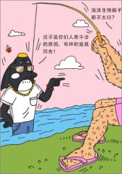 如果人类不干涉，哪种海洋生物能进化出文明？