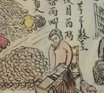 甘薯的旅程&mdash;&mdash;红薯如何被引进中国