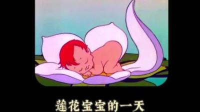 荷花里开出小孩子#动画解说 #动画 #搞笑动画