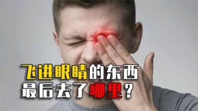 飞进眼睛里的东西，最后都去了哪里？3招教你轻松取出！