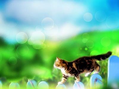 【感悟】暮江吟的诗歌感悟（赞美暮江吟的诗）