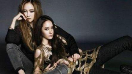 《杨草飞唱歌》细节教学视频[ali]