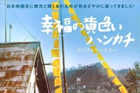 剧情《幸福的黄手帕》电影解说文案 观后感