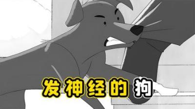 小狗到处咬人，谁也没想到，小狗这是在救人