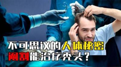 揭秘人体趣闻：阉割能治疗秃头？欧美人比亚洲人多2块骨头？