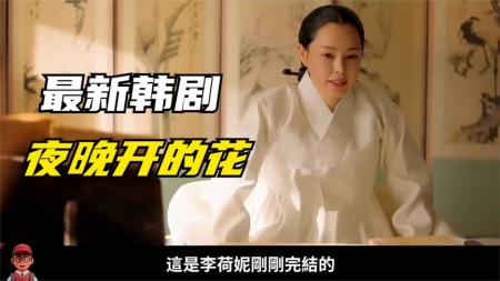 《夜晚开的花》EP.08，李荷妮爆笑剧，看似慈祥的左相竟是大BOSS