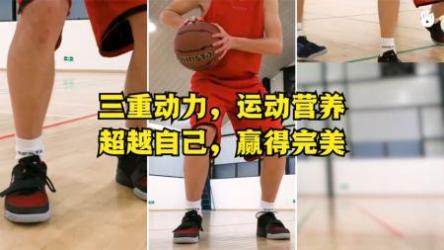 《篮球入门及提高》-法国篮球协会专业篮球教学课程[ali]