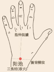 古人怎么把「立冬」过得热气腾腾的？