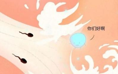 真男人，都该了解如何保护前列腺！(简版)