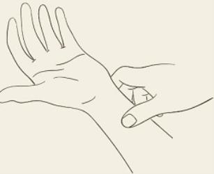 「立春」，跟古人一起「咬住」春天！