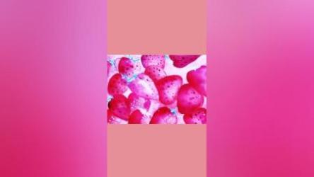 专为5-12岁小朋友打造美术综合课【30节课.11.6GB】[ali]