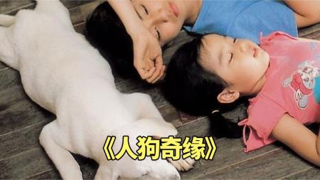 《人狗奇缘》#狗狗奇缘，狗狗被抛弃，但它从没放弃寻找主人，韩国催泪电影