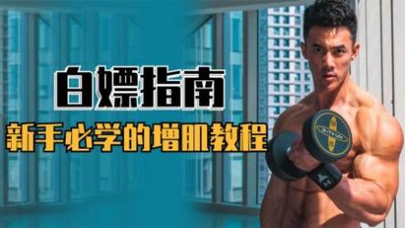 健身新手入门训练经验视频课程[ali]