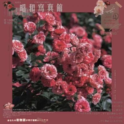 【经典】在家带孩子腻的说说（在家带孩子久了朋友圈说说）