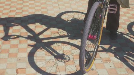 阳光明媚的日子里一对夫妇的自行车自行车 Bicycle:一对夫妇'；在一个阳光明媚的日子里，他在公园里散步时骑着自行车。