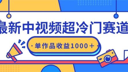 最新中视频超冷门赛道，轻松过原创，单条视频收益1000＋