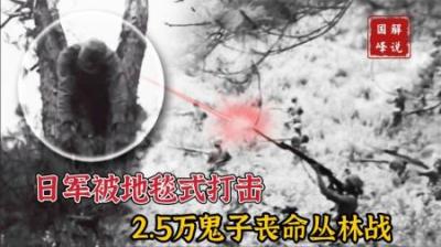 1944年英帕尔战役影像，日军被地毯式打击，2.5万鬼子兵丧命丛林