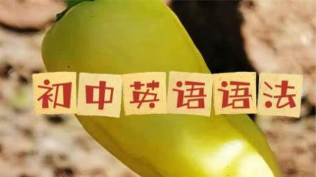 学而思初中【553.50G】（3）2019.初三19英语、物理、化学直播课程[ali]