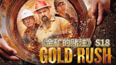 淘金小队前五周收获，价值33万美元173盎司黄金，谁能不心动#淘金