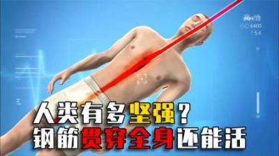男人被钢筋垂直穿透、贯穿脑袋，居然还能说话，人类到底多坚强？